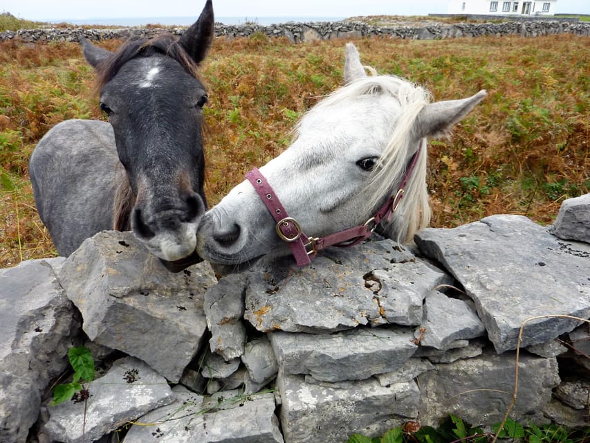 Ebiking on Inishmore island. Aran islands. Self-guided - Tips to make the day feel smooth, not rushed