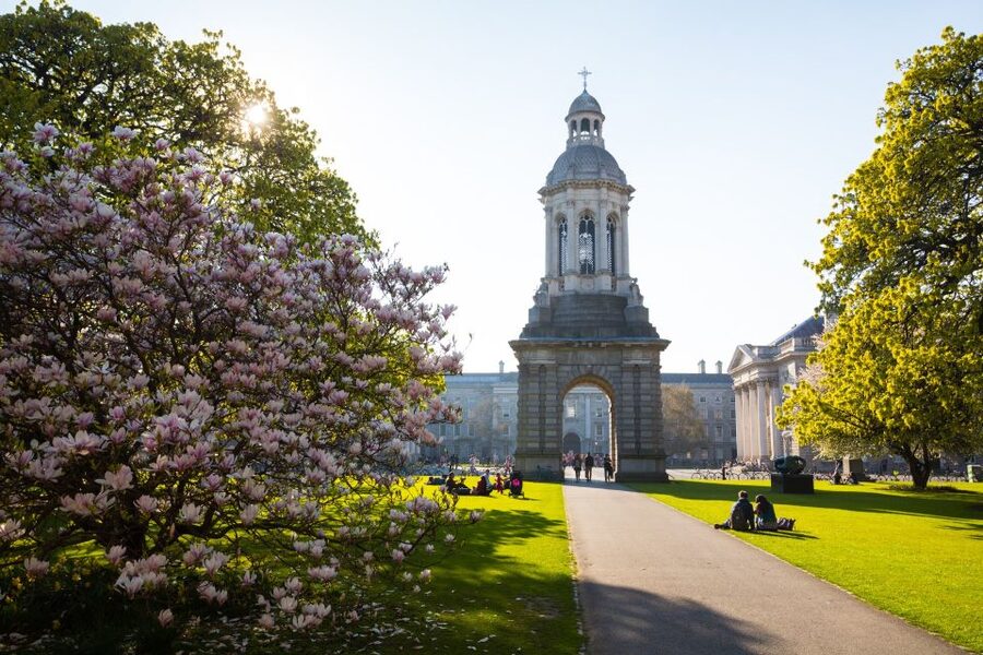 Eco Bike Tour of Dublin City Top Attractions and Nature - What your guide actually adds (and why the reviews mention it)