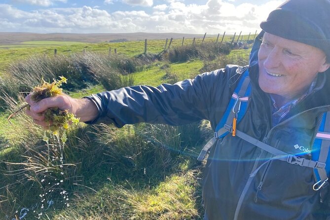 Erris Head Guided Walking Tour (AlchemyTours.ie) - Price and logistics: what $30 buys on a guided 5 km loop