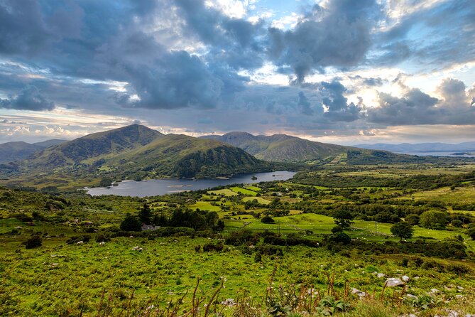 Exclusive Private Ring of Beara Tour from Killarney - Glengarriff Woods and the 1 km River Walk: Easy Nature That Feels Authentic