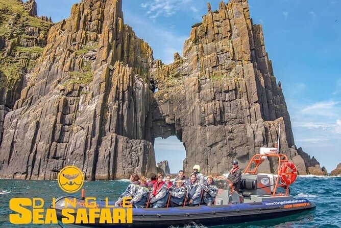 Exhilarating Rib experience - Dingle sea safari - The Captains and the Small-Group Advantage (12 People Max)