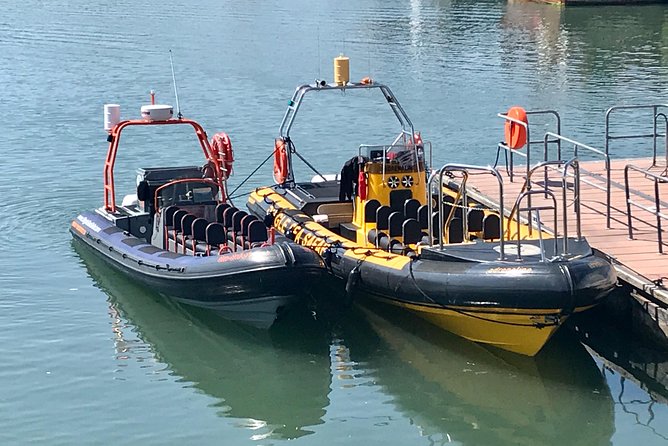 Exhilarating Rib experience - Dingle sea safari - Who Should Book This Dingle Sea Safari (and Who Should Think Twice)