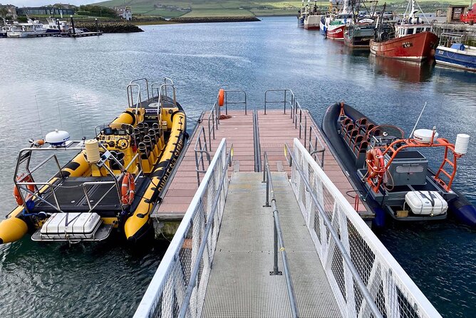 Exhilarating Rib experience - Dingle sea safari - Price and Value: Is $120.93 Worth It?