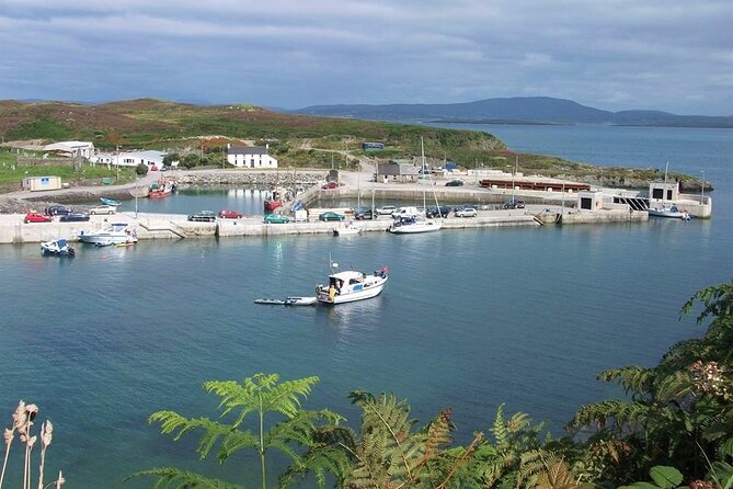 Fastnet Rock Lighthouse & Cape Clear Island Tour from Schull West Cork - What’s included on board, and what to bring so you’re not stuck