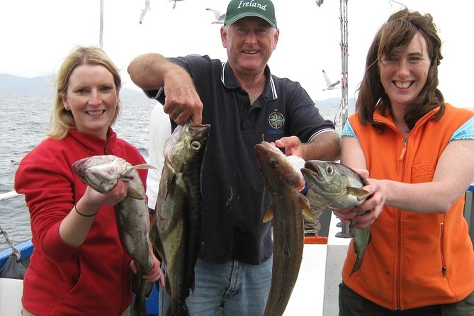Fishing 2 hour Private - Where the outing actually happens: from Dingle Marina to Dingle Bay