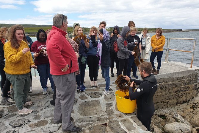 Food, heritage & cultural tour Inishmore, Aran Islands. Guided. - A half-day that works like a local circuit on Inish Mór