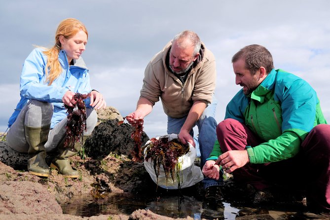 Food, heritage & cultural tour Inishmore, Aran Islands. Guided. - Stop 3: Na Seacht Teampaill, seven churches with only two