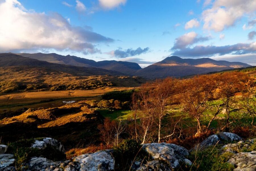 From Cork: 9-Hour Guided Ring of Kerry and Killarney Tour - Value for Money: What You Get for Around $101