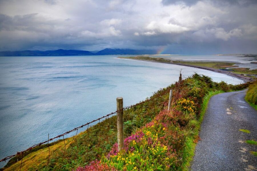 From Cork: 9-Hour Guided Ring of Kerry and Killarney Tour - Sneem Lunch Break: A Small Seaside Village With Real Choices