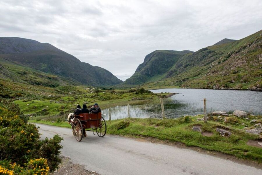 From Cork: 9-Hour Guided Ring of Kerry and Killarney Tour - Moll’s Gap, Ladies View, and the Black Valley: Where the Drive Turns Into the Show