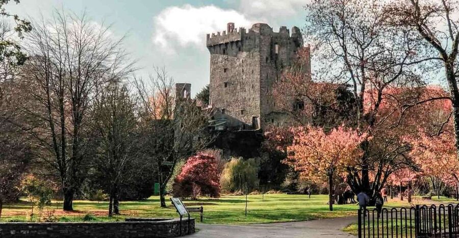 From Cork: County Cork Highlights Tour with Entrance Tickets - Cork in One Day: How the Loop Fits Together