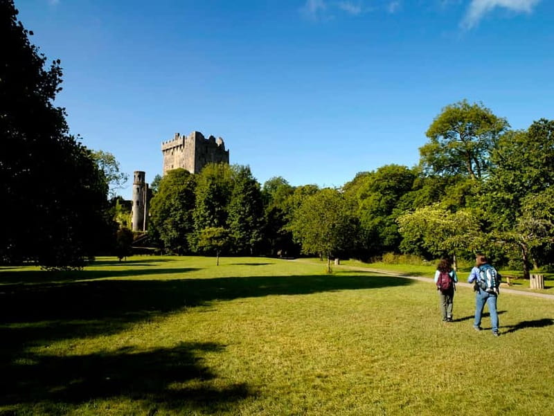 From Cork: Guided Shared Shore Excursion - Key Points You’ll Care About Before You Go