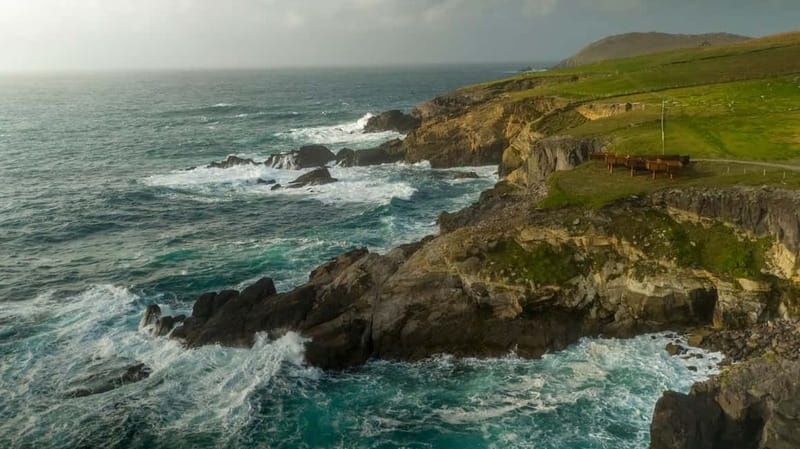 From Cork: Ring of Kerry & Killarney Guided Full Day Tour - Kerry Bog Village in Glenbeigh: old Irish rural life in one stop