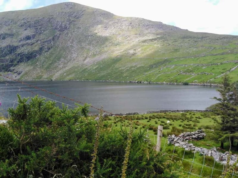 From Cork: Ring of Kerry & Killarney Guided Full Day Tour - Skellig Islands sighting: Star Wars flavor, real coastal drama