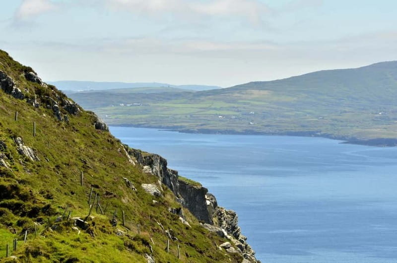 From Cork: West Cork to Mizen Head Guided Full Day Tour - Bantry for market-town wandering, tea, and quick local browsing