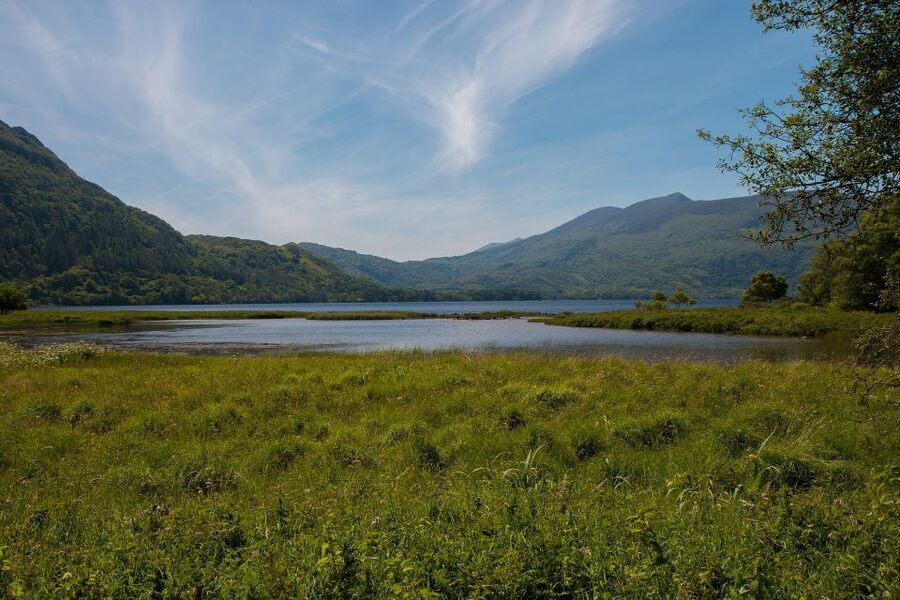 From Dublin: 2-Day Cork, Blarney Castle & Ring of Kerry Tour - Who should book this tour, and who might not love it