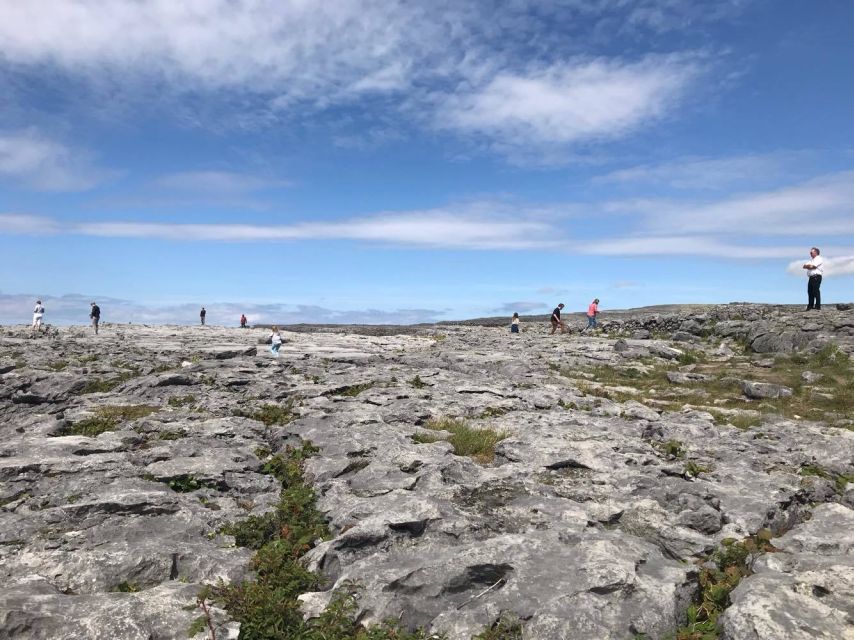 From Dublin: 3-Day Cork, Ring of Kerry, Ciffs of Moher Tour - Price and value: is $1,041 per person fair for three days?