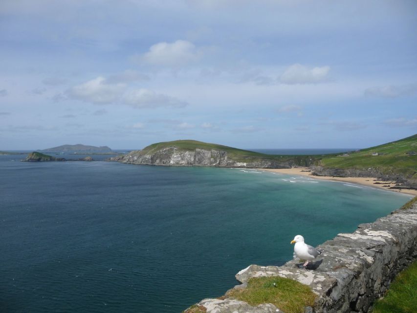 From Dublin: 5-Day Tour to the Southwest with Accommodation - Dingle Peninsula beaches: time for wind, sea, and quiet walking
