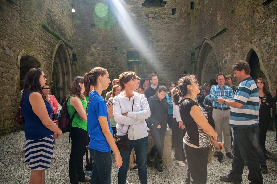 From Dublin: Blarney, Rock of Cashel and Cahir Castles Tour - Price and Value: Is $96 a Good Deal?