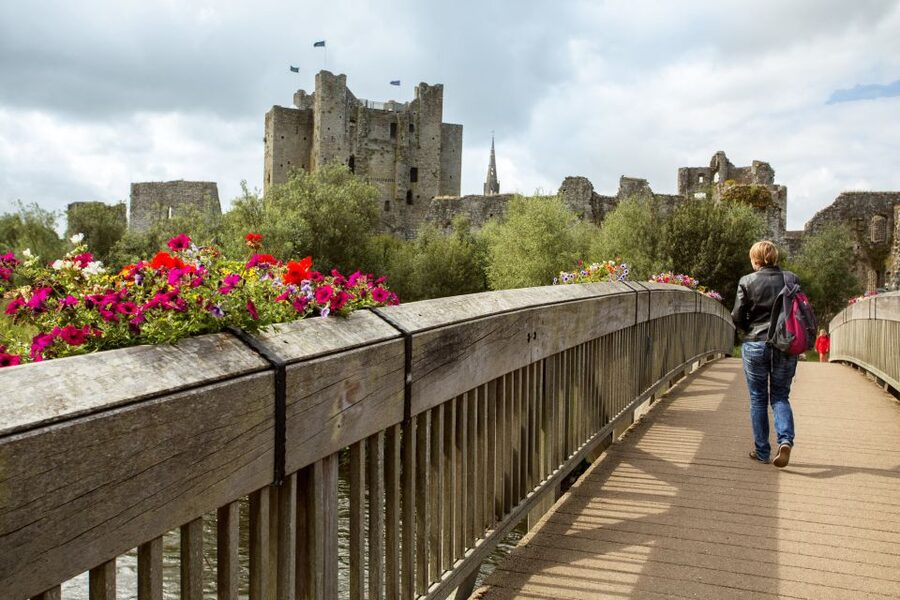 From Dublin: Celtic Boyne Valley and Ancient Sites Tour - Price and value: what you get for about $74