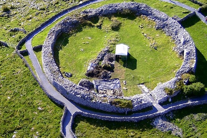 From Dublin: Cliffs of Moher, Bird of Prey & Aillwee Cave - Fanore Lunch at O’Donohue’s Pub: Good Food, Limited Time