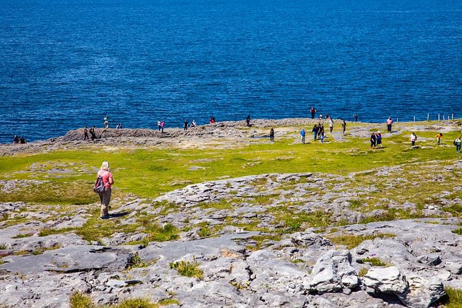 From Dublin: Cliffs of Moher, Bird of Prey & Aillwee Cave - Cliffs of Moher Visitor Centre and Clifftop Walk
