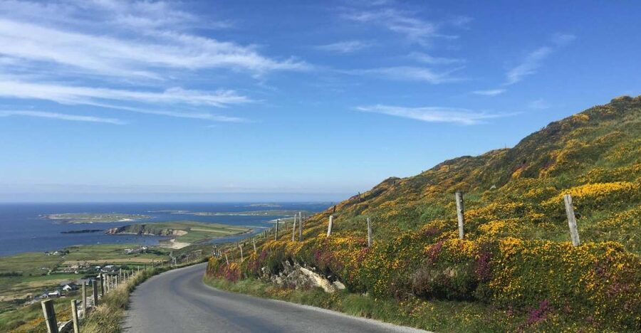 From Dublin: Connemara and Galway Bay Day Tour - Key highlights you should care about