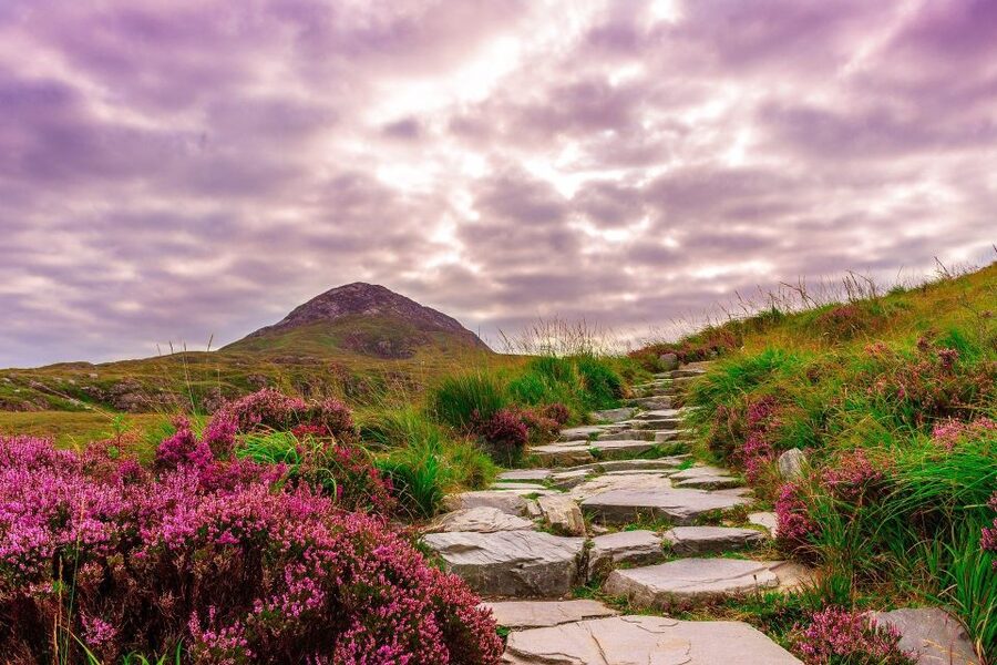 From Dublin: Connemara and Galway Bay Day Tour - Who this day tour fits best