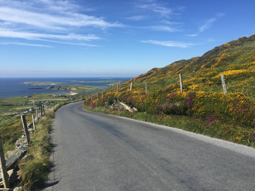 From Dublin: Connemara and Galway Bay Day Tour - Galway, the City of the Tribes, as your jumping-off point