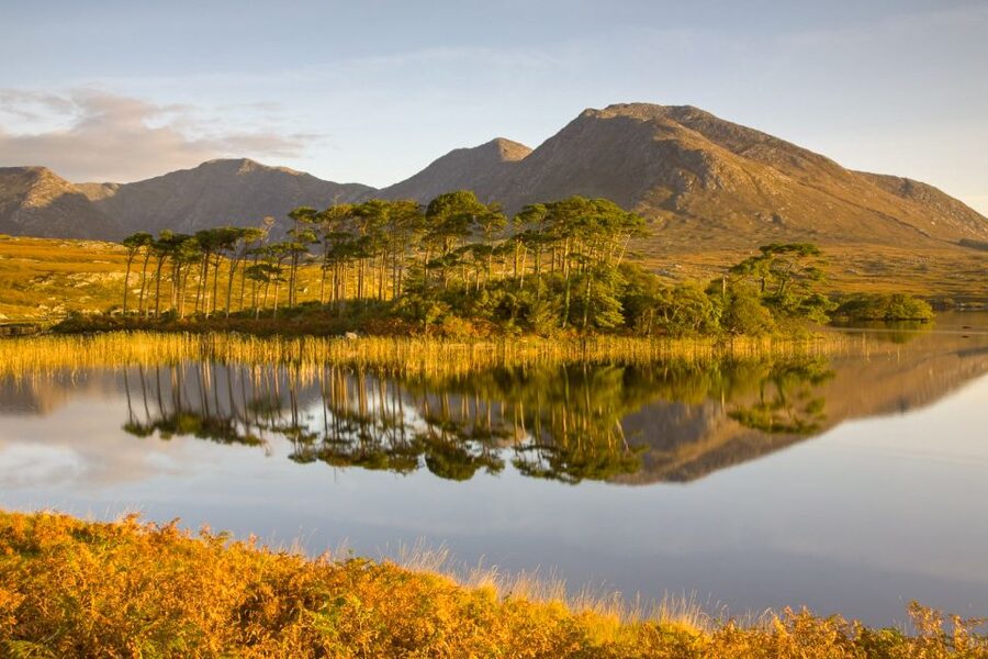 From Dublin: Connemara and Galway Full-Day Tour - Galway City Time: Two Hours to Wander, Plus a Walking Tour Option