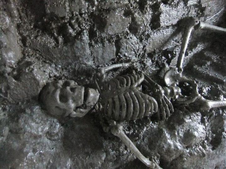 From Dublin: Gravedigger Ghost Bus Tour - Glasnevin Cemetery Museum and the body snatcher legend