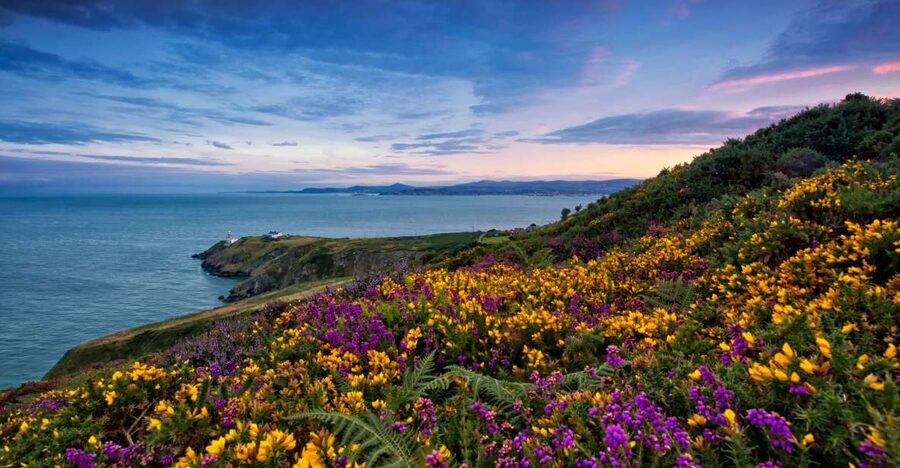 From Dublin: Half-Day Guided Coastal Tour to Howth Village - How this half-day Howth trip fits into a Dublin schedule