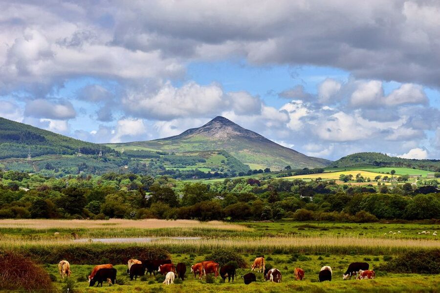 From Dublin: Wicklow Mountains, Glendalough & Kilkenny Tour - Kilkenny on foot: narrow lanes, medieval castle views, and lunch choices