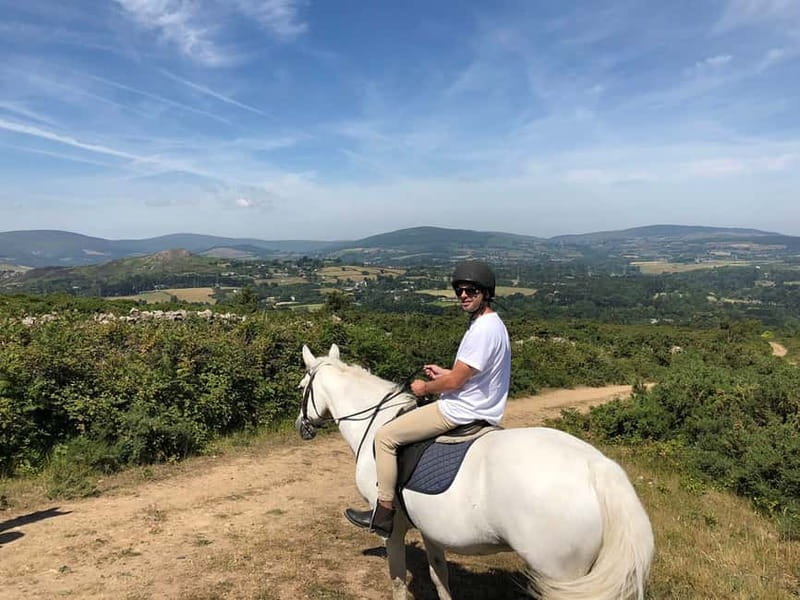 From Dublin: Wicklow, Powerscourt, and Glendalough Day Tour - Enniskerry lunch break: a real village stop, not just a roadside pause