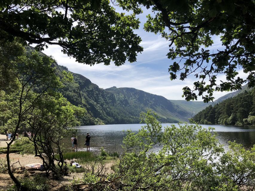 From Dublin: Wicklow, Powerscourt, and Glendalough Day Tour - The pace, the van ride, and why the timing feels workable