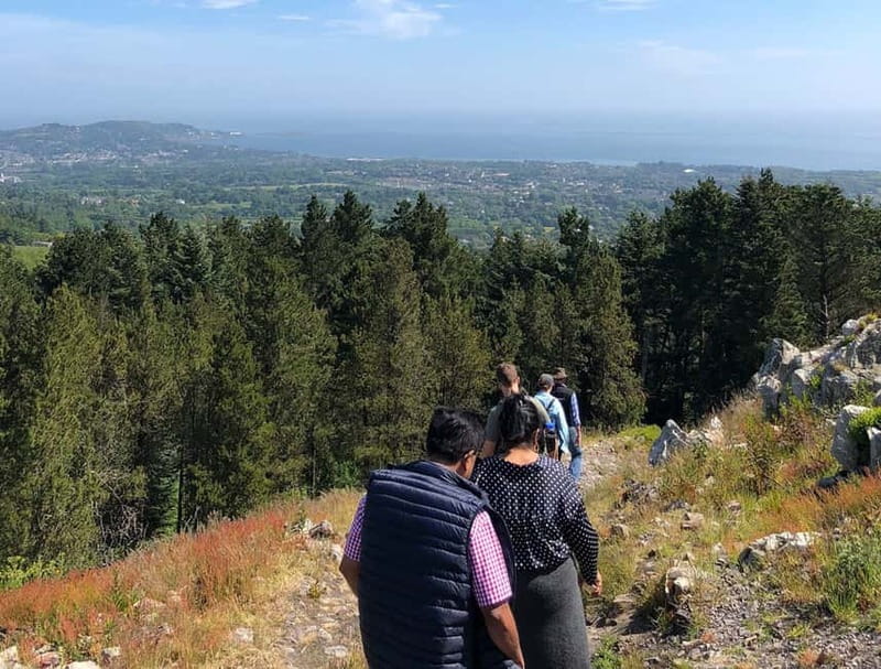 From Dublin: Wicklow, Powerscourt, and Glendalough Day Tour - Guides can make or break the day, and this one has the goods