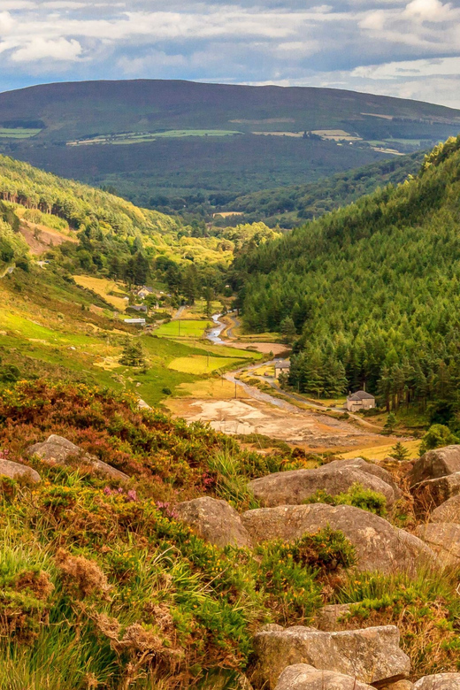 From Dublin: Wild Wicklow Mountains and Glendalough Tour - Key Things to Love Most