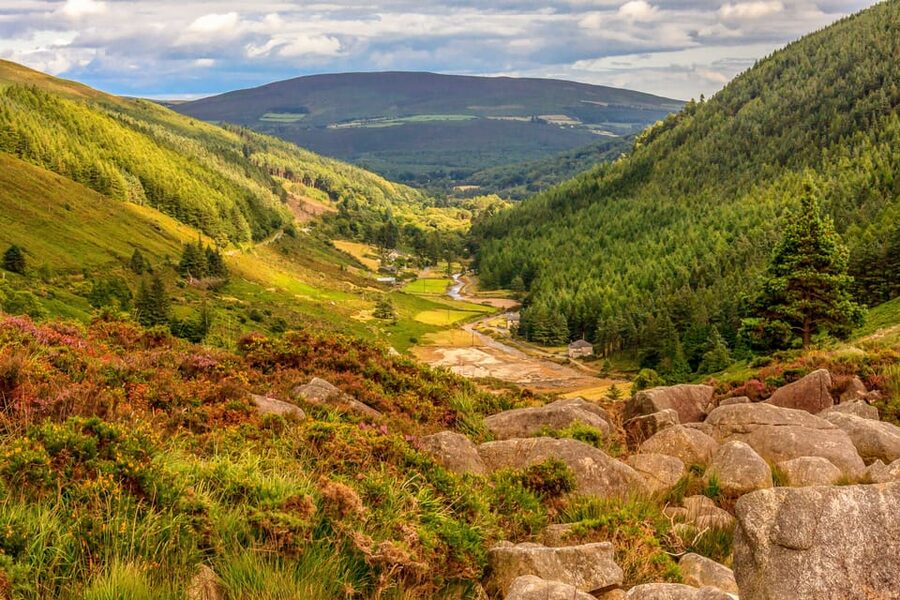 From Dublin: Wild Wicklow Mountains and Glendalough Tour - The 60-minute Upper Lake walk: your chance to slow down