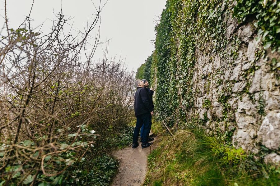 From Galway: Cliffs of Moher and The Burren Guided Day Trip - The Wild Atlantic Way return: scenic roads, not just driving