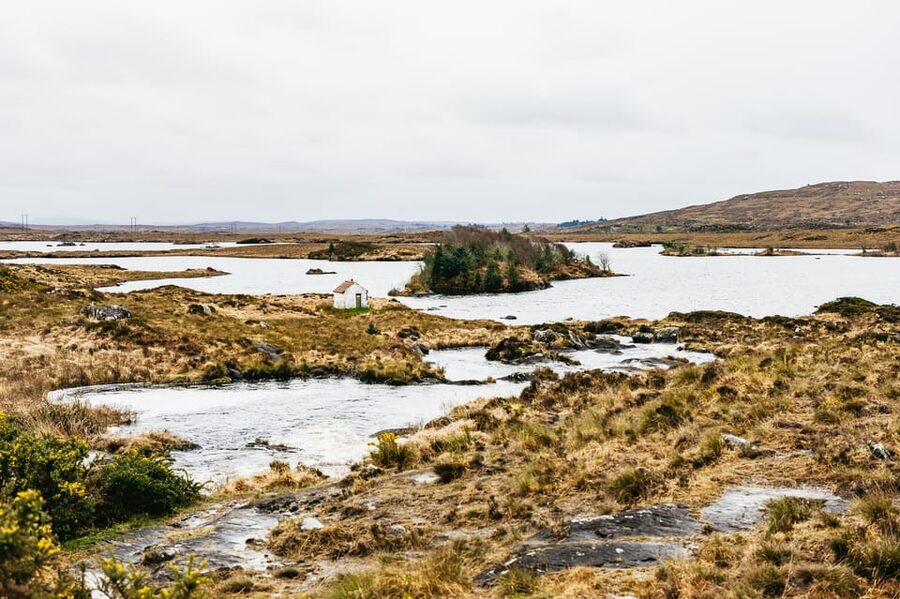 From Galway: Connemara and Connemara National Park Day Trip - Kylemore Abbey and the Victorian Walled Gardens: lough views and estate time