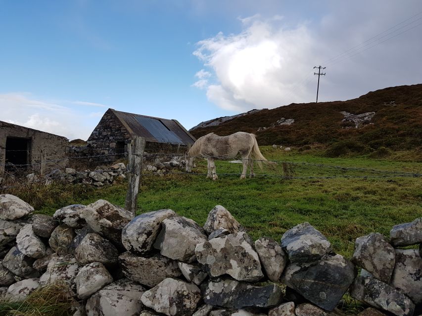 From Galway: Connemara and Kylemore Abbey Day Tour - Who should book, and who might not love it
