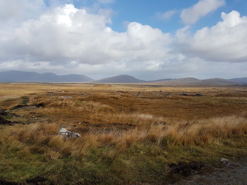 From Galway: Connemara and Kylemore Abbey Day Tour - Driver-guide quality: why this tour feels smooth on narrow roads