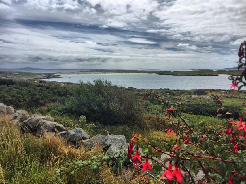 From Galway: Connemara and Kylemore Abbey Day Tour - Wild Atlantic Way photo stops: Screebe, freshwater lakes, and the Sky Road viewpoints
