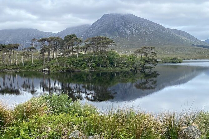 From Galway: Connemara, Kylemore Abbey & Castles 1 Day Tour - Kylemore Abbey: gardens and grounds time, not just a quick peek