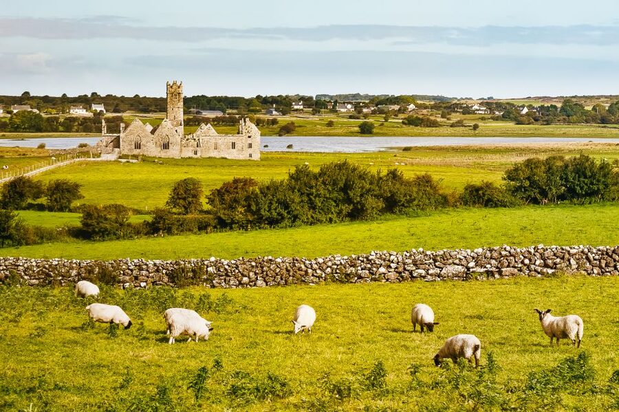 From Galway: Connemara & Kylemore Abbey Full-Day Guided Tour - Leenane and Killary Fjord: short stops, big views