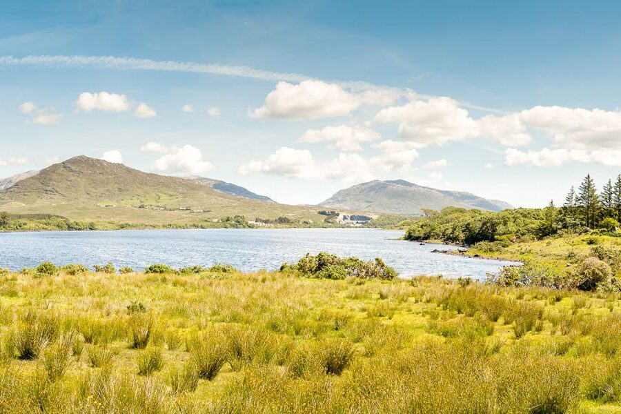 From Galway: Connemara & Kylemore Abbey Full-Day Guided Tour - How the guide experience can make or break the day