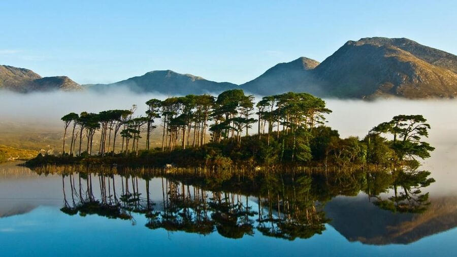 From Galway: Connemara, Kylemore Abbey or National Park Tour - Key Points You’ll Actually Care About