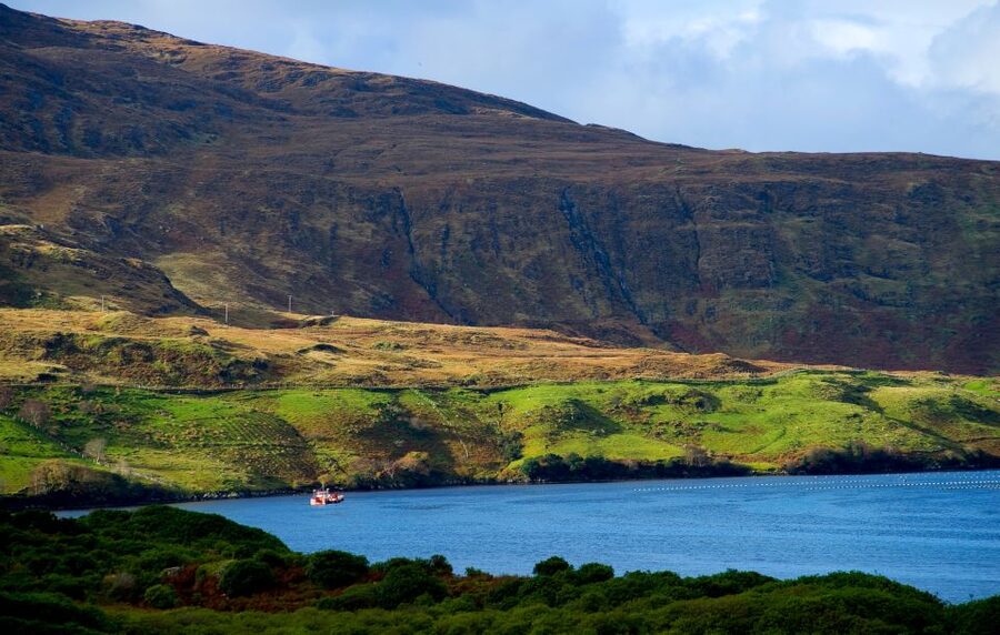 From Galway: Connemara National Park Full Day Tour - Value, Comfort, and Who This Tour Fits Best