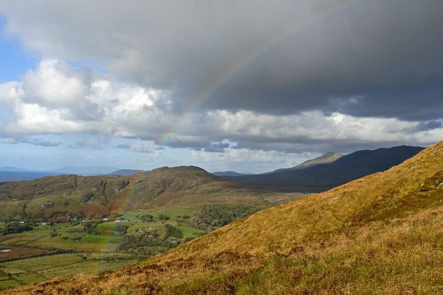 From Galway: Connemara National Park Full Day Tour - FAQ