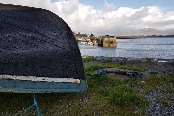 From Galway: Guided tour of Connemara with 3 hour stop at Connemara National Pk. - Screebe waterfall to Pine Island: fast stops with big scenery